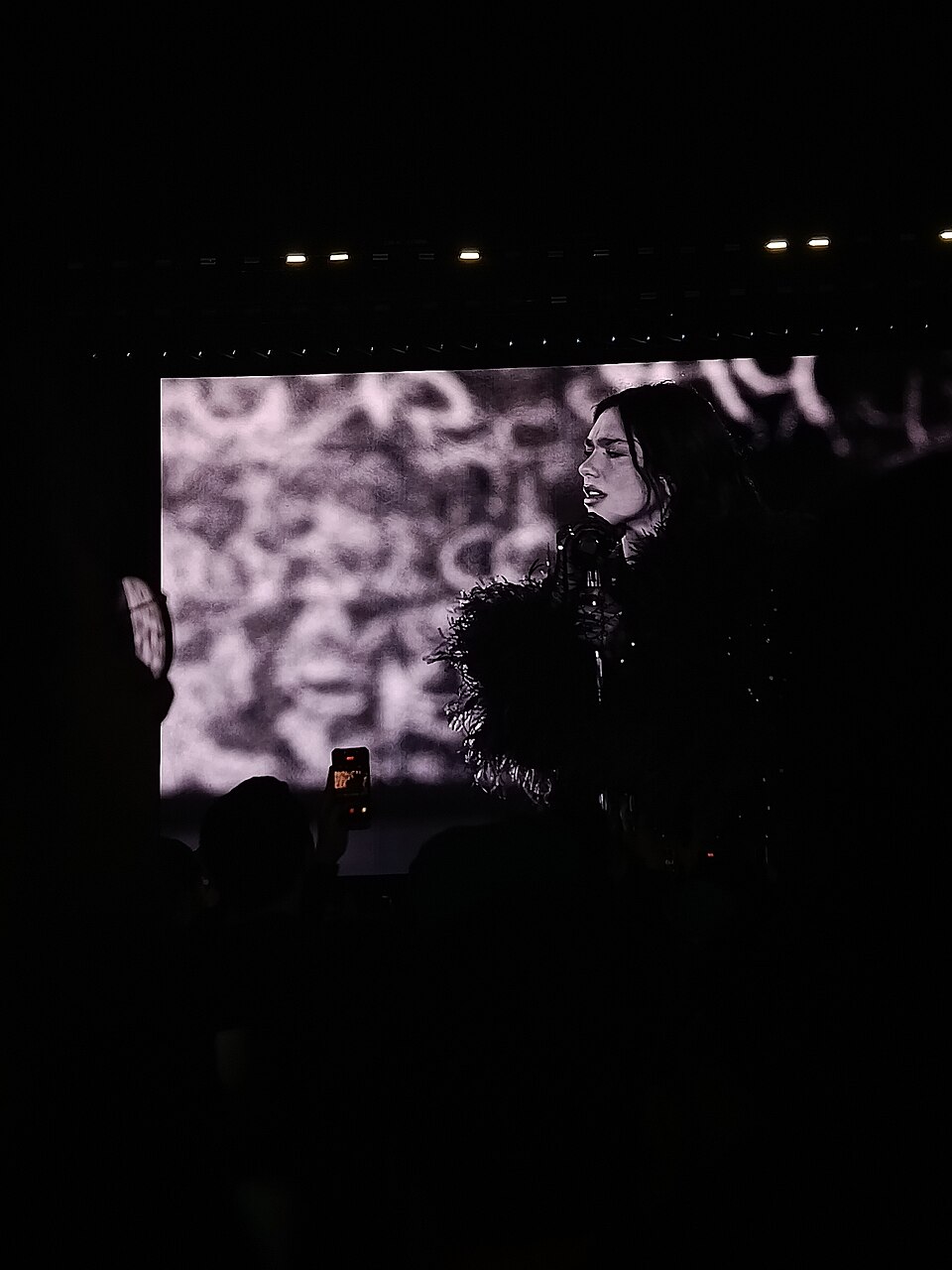 Concierto De Dua Lipa En Cdmx
