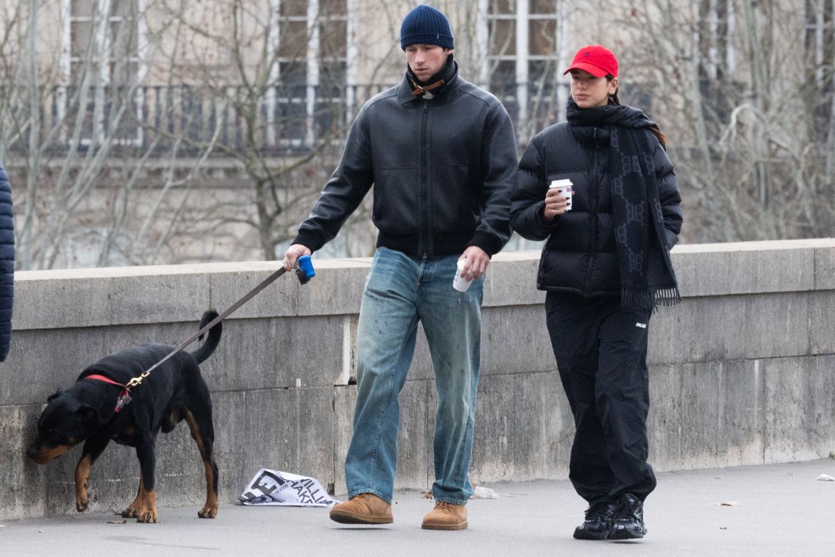 Dua Lipa and Callum Turner Out with Their Dog
