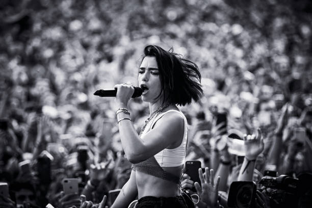 Dua Lipa at Lollapalooza Music Festival Photograph
