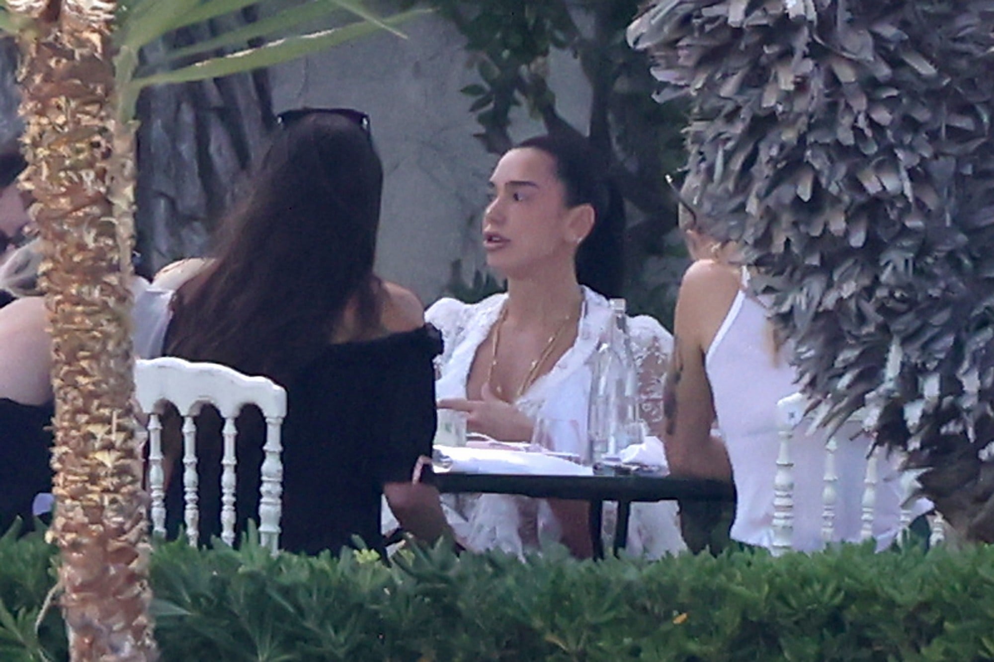 Dua Lipa Callum Turner Host Post Wedding Brunch