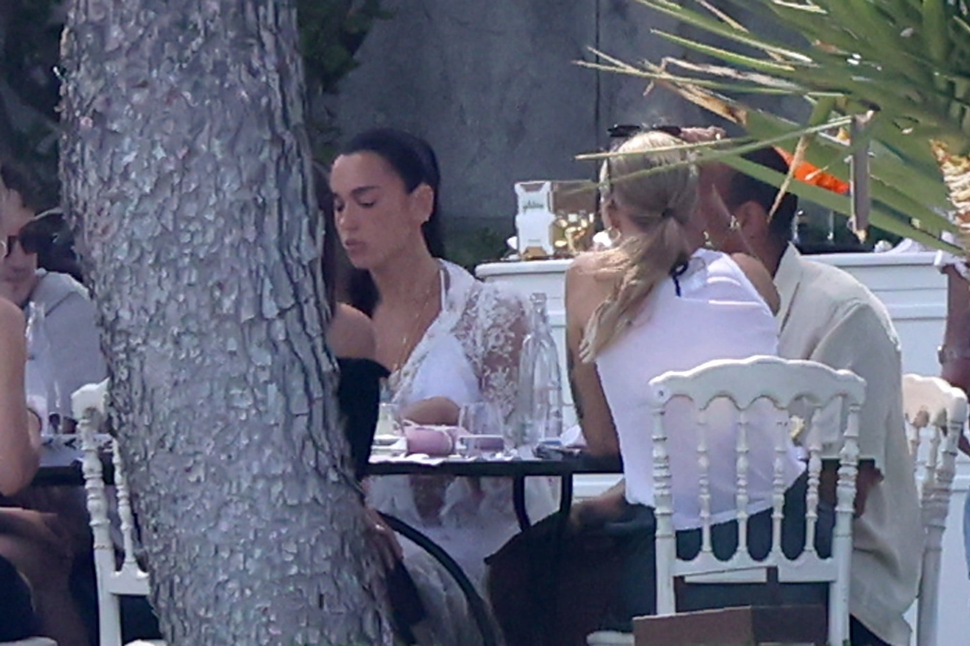Dua Lipa Callum Turner Host Post Wedding Brunch