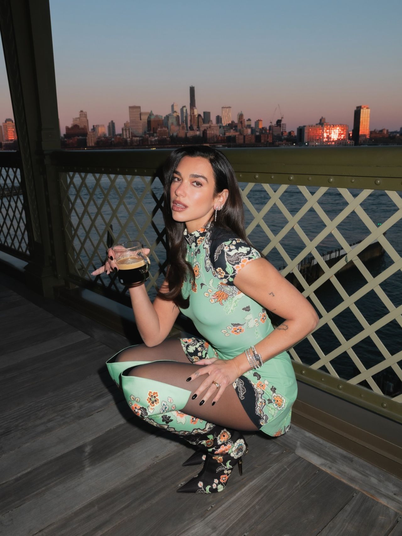 Dua Lipa — Dua Lipa in Roberto Cavalli Pre-Fall 2026 Photoshoot